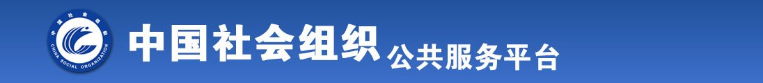 男生用jj插入女生的b的成人网站全国社会组织信息查询